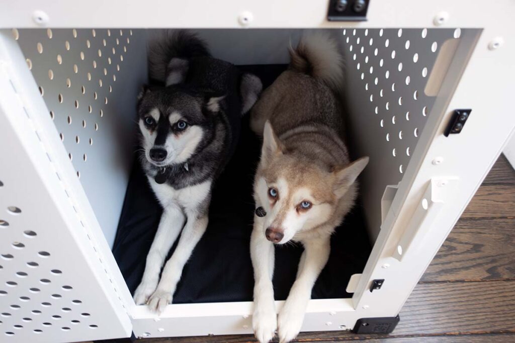 Skye and Copper in their Impact High Anxiety dog crate (Photo: lifewithkleekai)