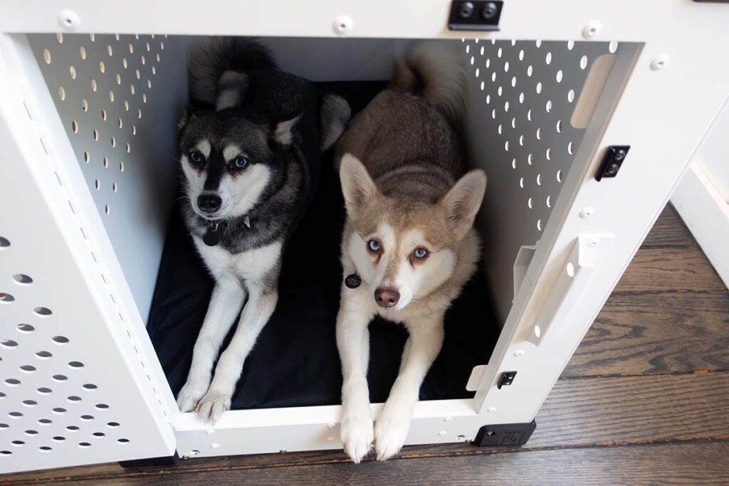 https://lifewithkleekai.com/wp-content/uploads/2023/09/impact-high-anxiety-crate-23-1024x683.jpg