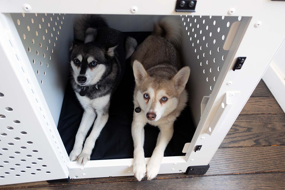 Impact High Anxiety Dog Crate Review Our Verdict, Pros & Cons