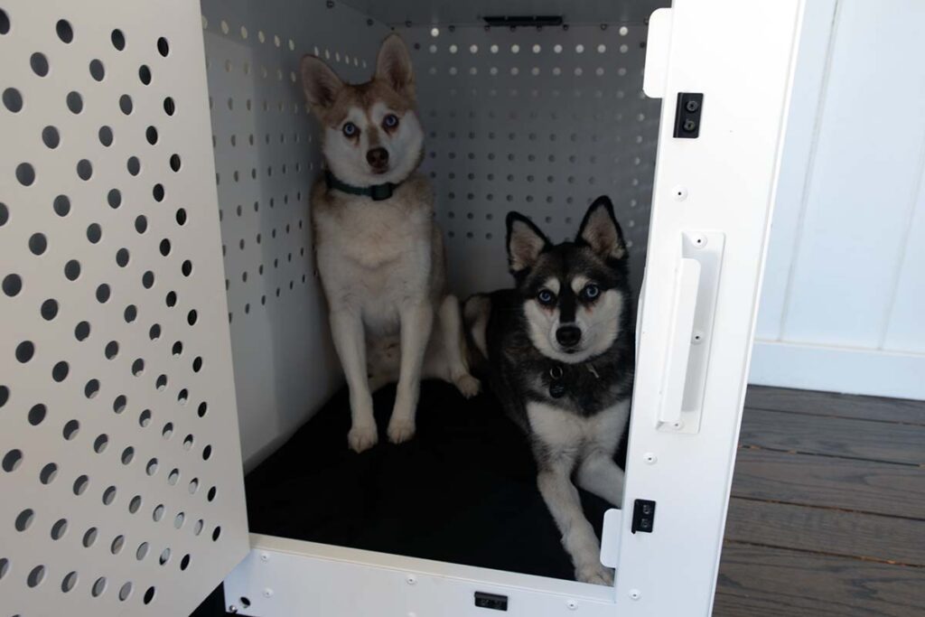 Impact High Anxiety Dog Crate Review Our Verdict Pros Cons