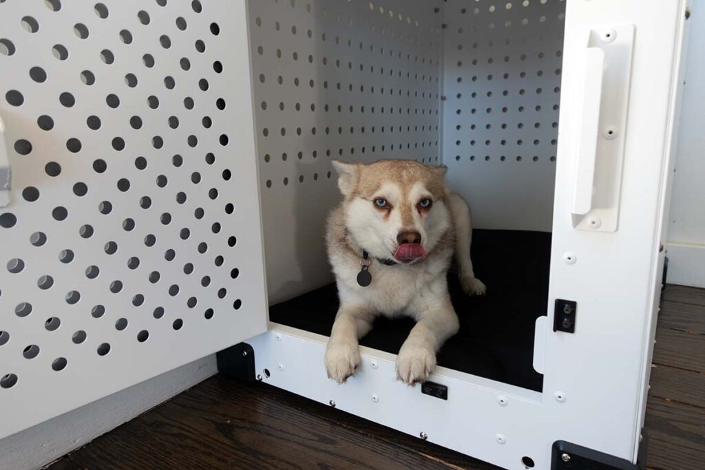 Dog crate for high clearance anxiety