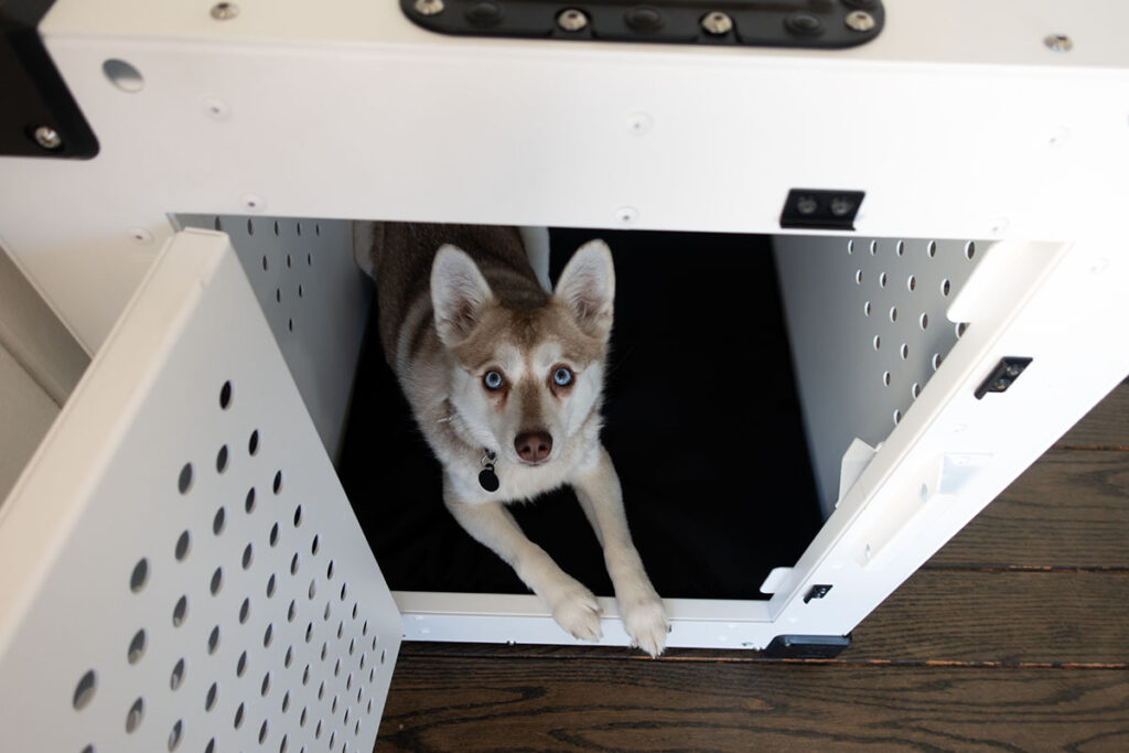 High Anxiety Dog Crate