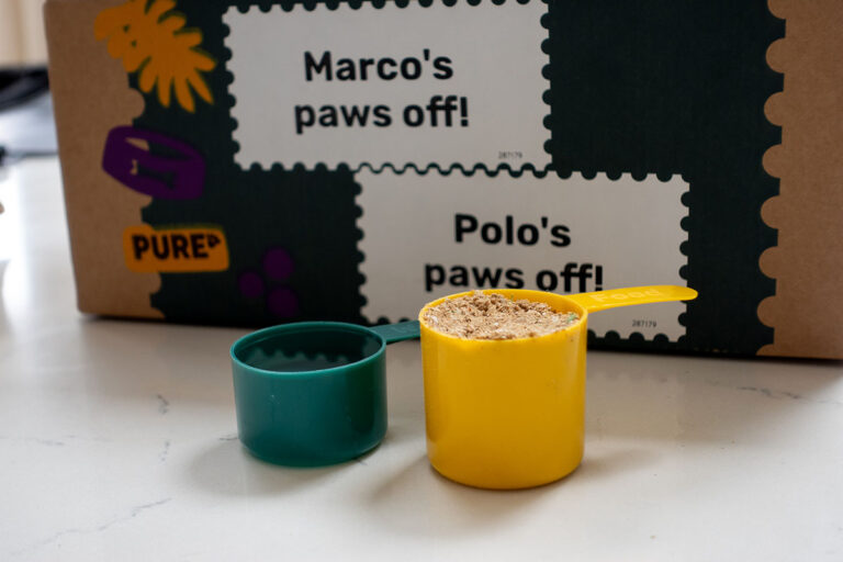 What Is The Best Alternative To Butternut Box? Our Top Picks