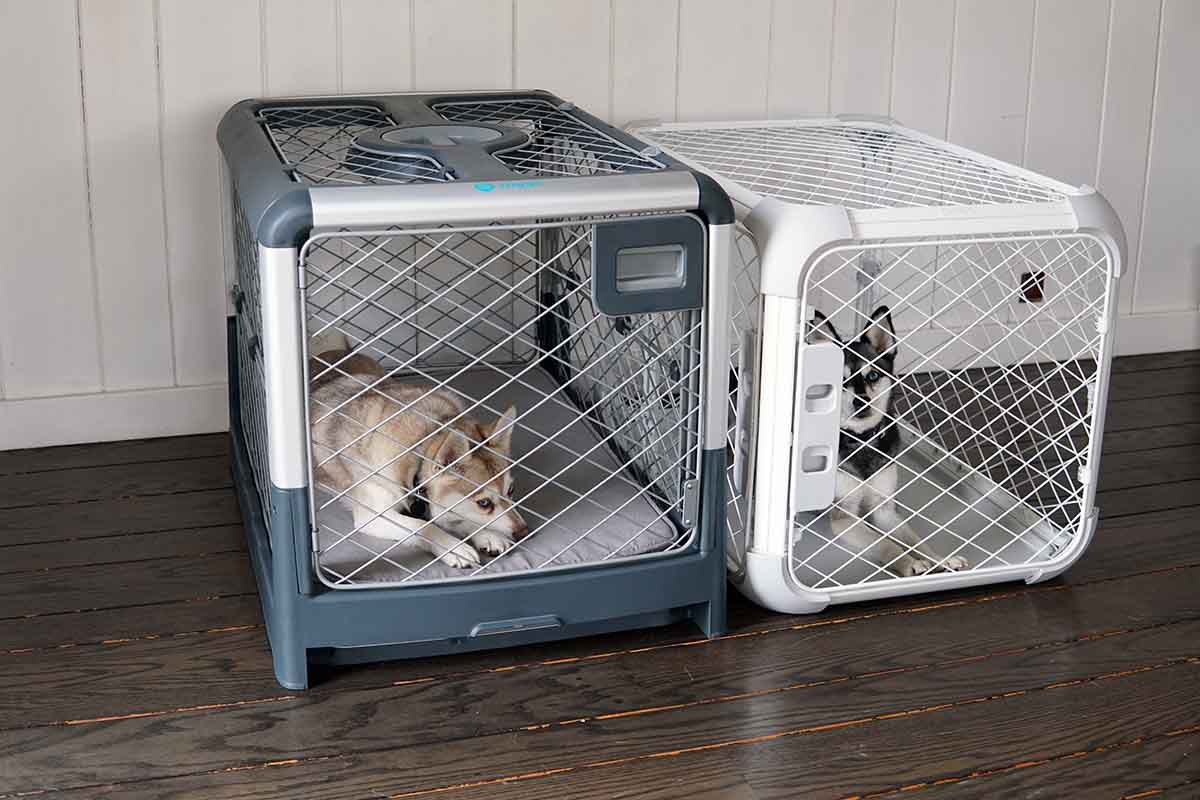 Diggs Evolv Vs Revol Dog Crates What's The Difference?