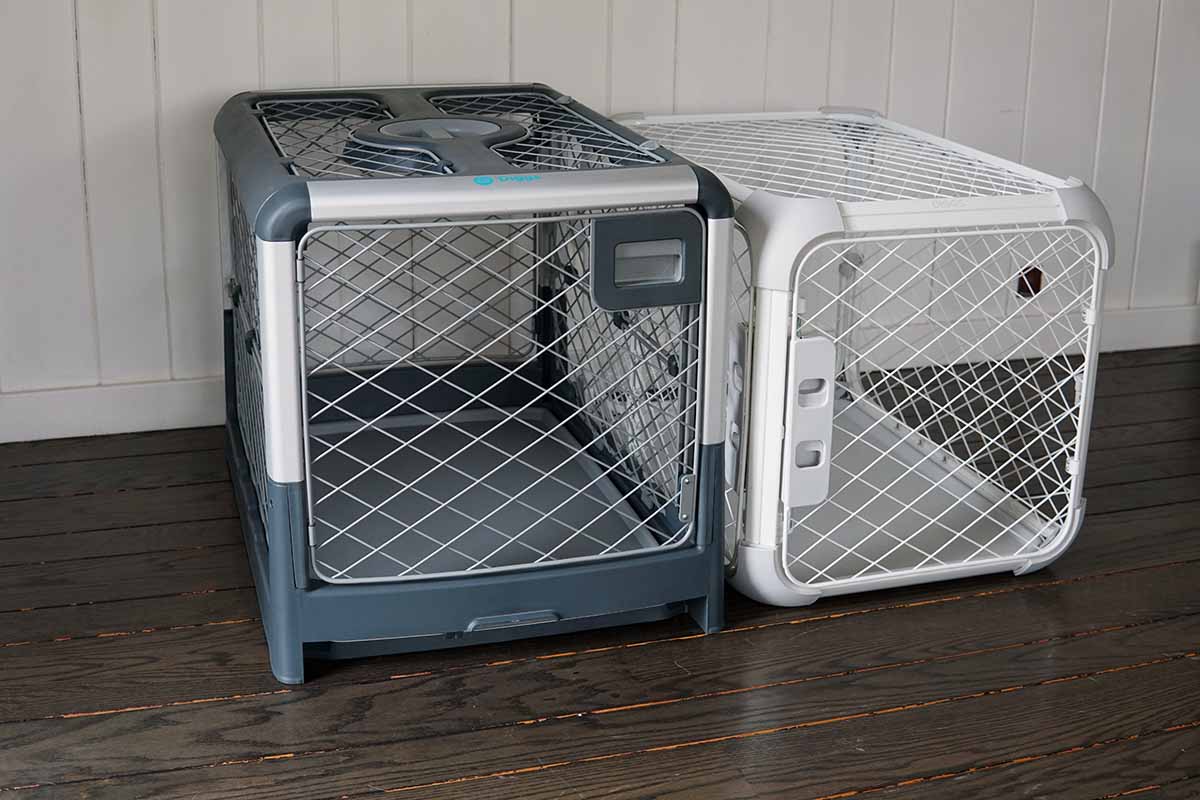 Diggs Evolv Vs Revol Dog Crates What's The Difference?