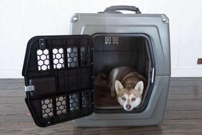 Impact Collapsible Dog Crate Vs Gunner G1 Kennel Our Verdict