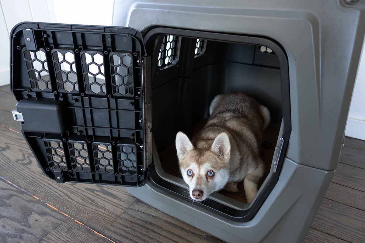 Impact Collapsible Dog Crate Vs Gunner G1 Kennel Our Verdict