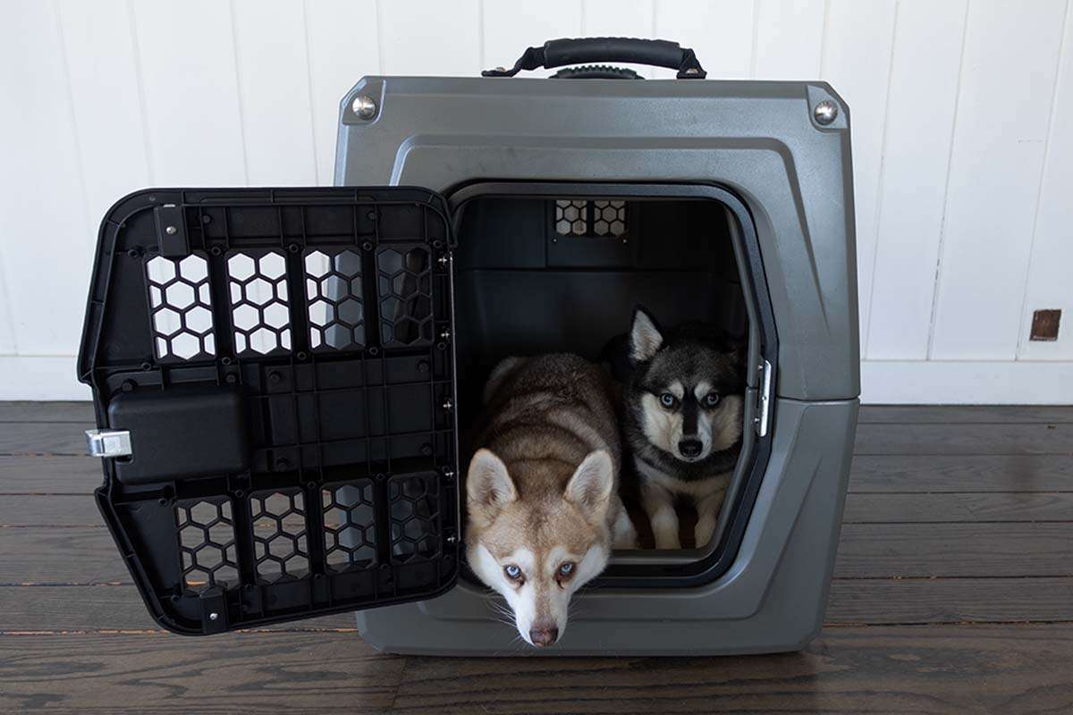 Impact High Anxiety Crate Vs Gunner G1 Kennel How They Differ?
