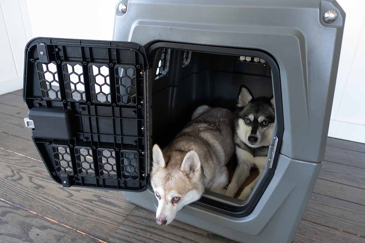 Impact Collapsible Dog Crate Vs Gunner G1 Kennel Our Verdict