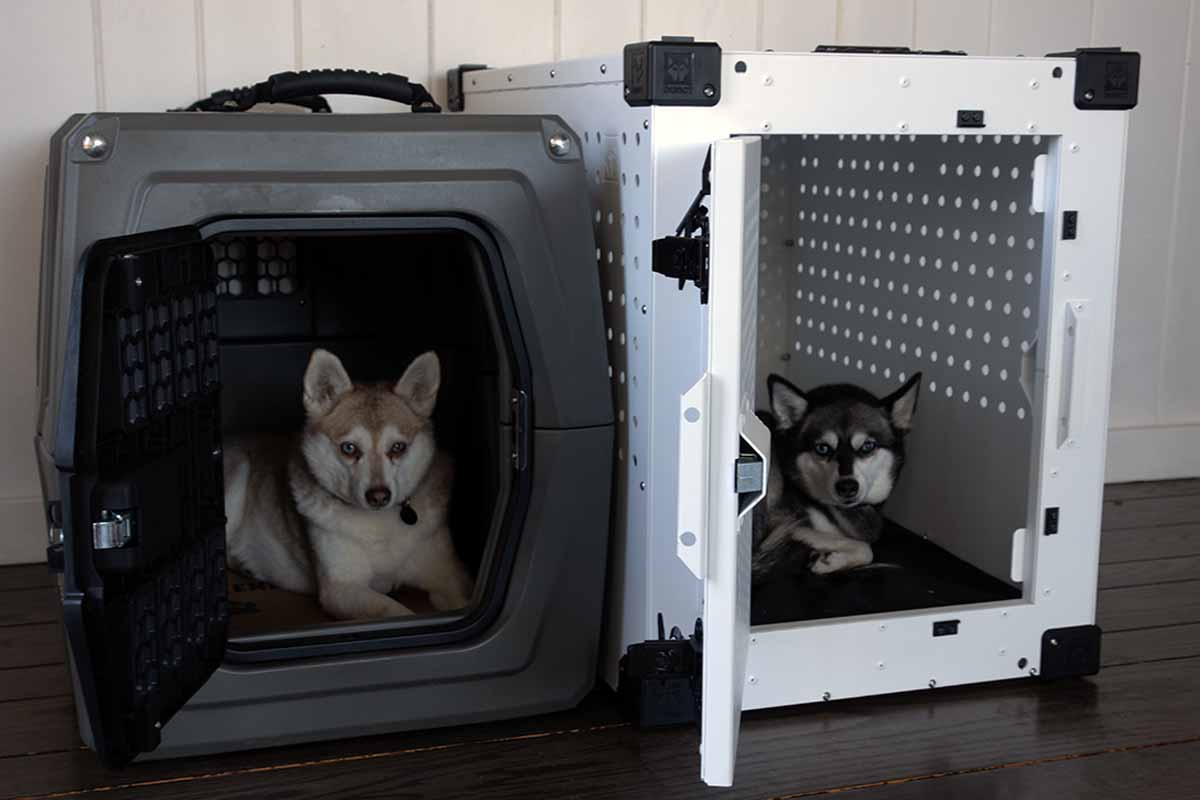 Impact High Anxiety Crate Vs Gunner G1 Kennel How They Differ?