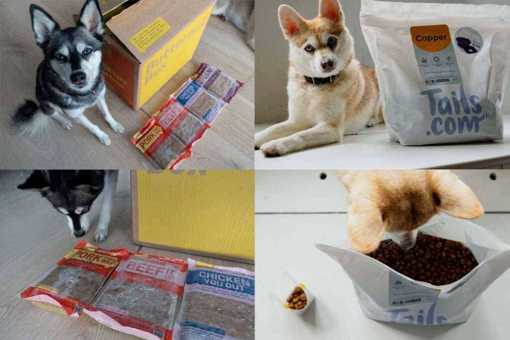 Butternut Box Vs Tails: What's The Difference?
