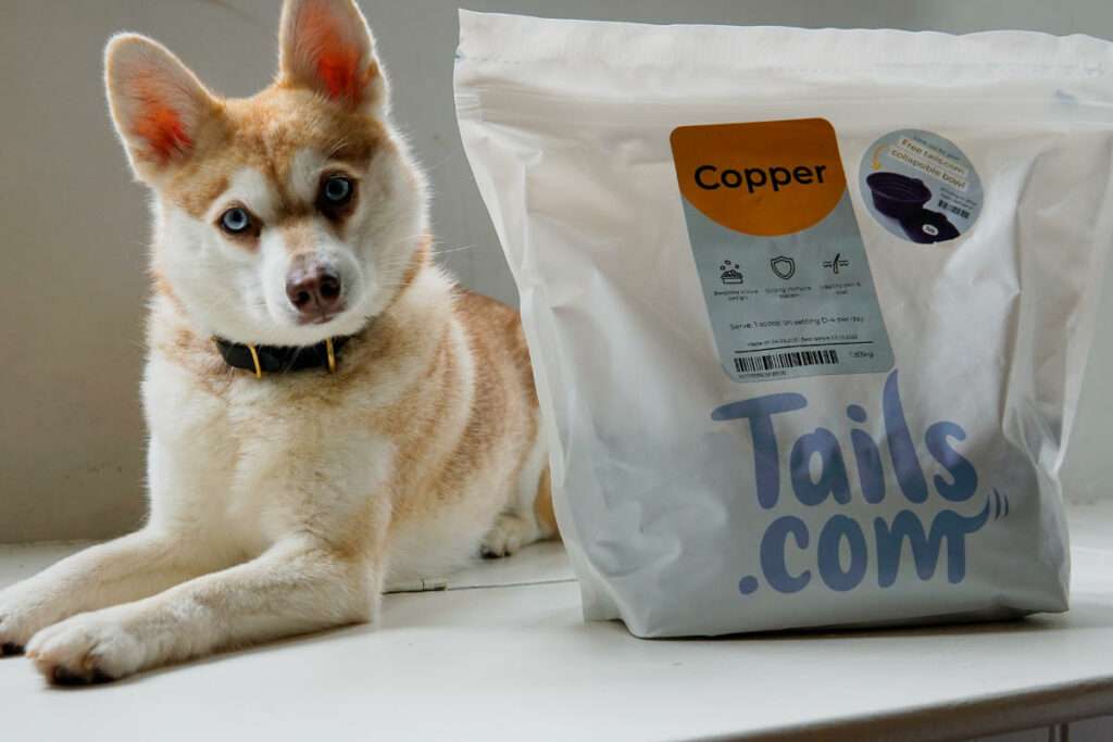 Butternut Box Vs Tails What's The Difference? Tried & Tested