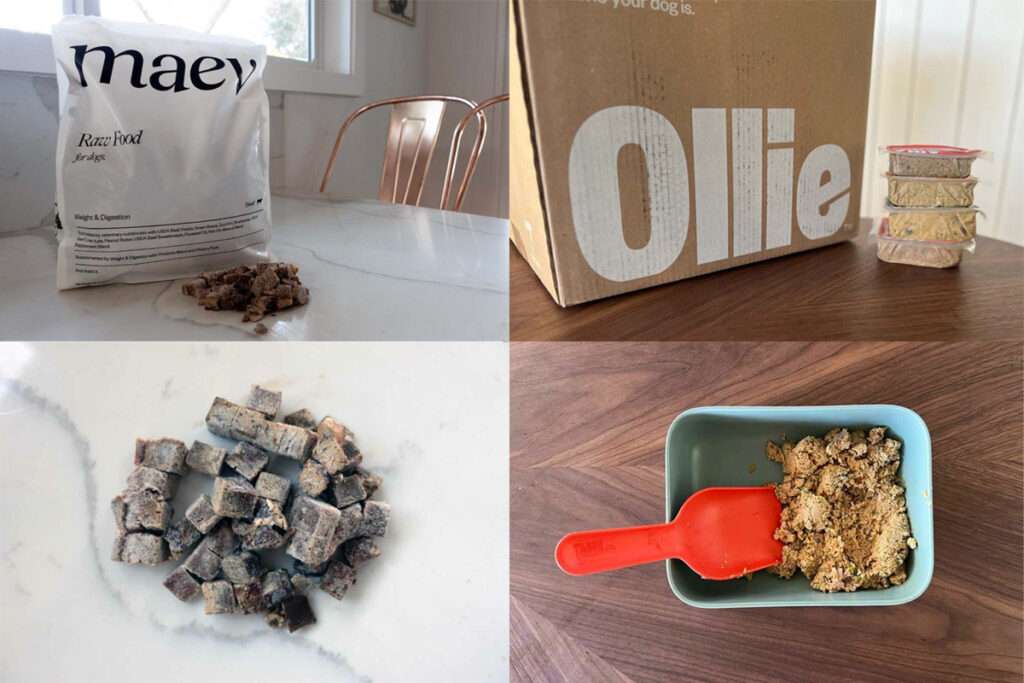 Maev raw dog food vs Ollie dog food