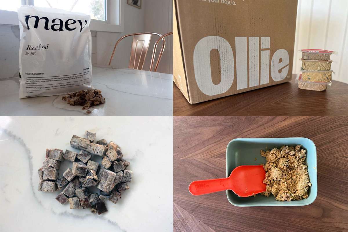 Maev raw dog food vs Ollie dog food