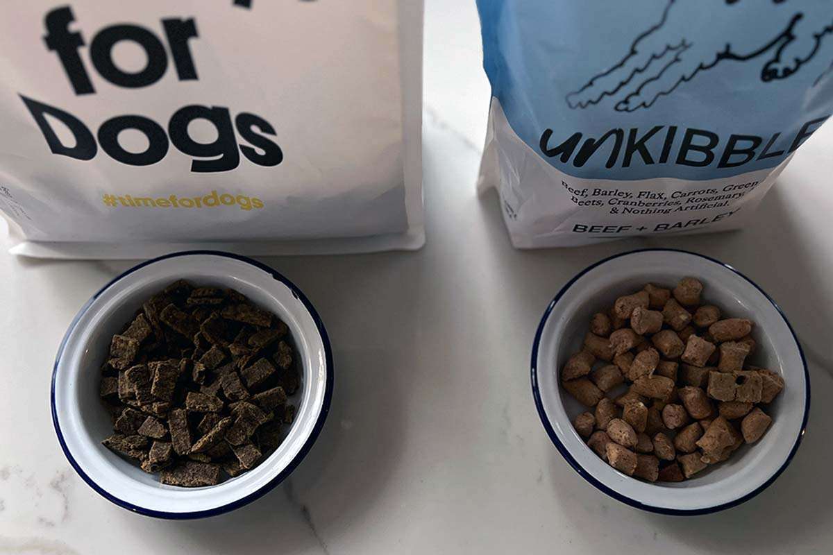 Sundays For Dogs Copper and Skye