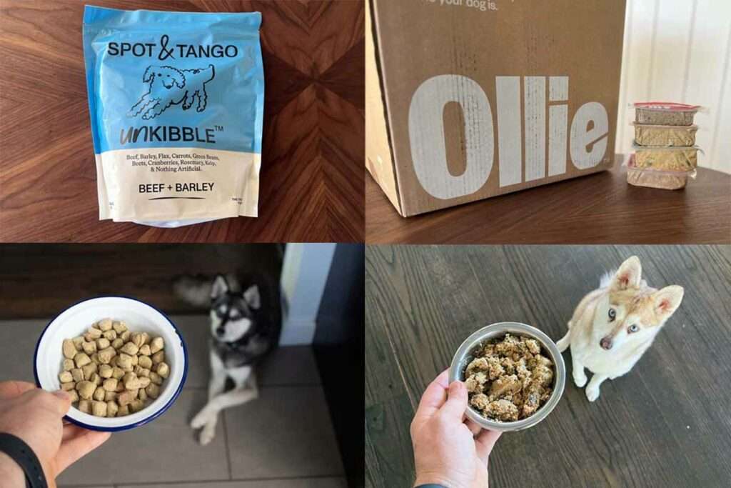 UnKibble Vs Ollie: What's The Difference? Our Review