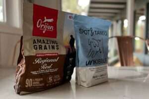 UnKibble Vs Orijen (2026): Which Dry Dog Food Is Better?
