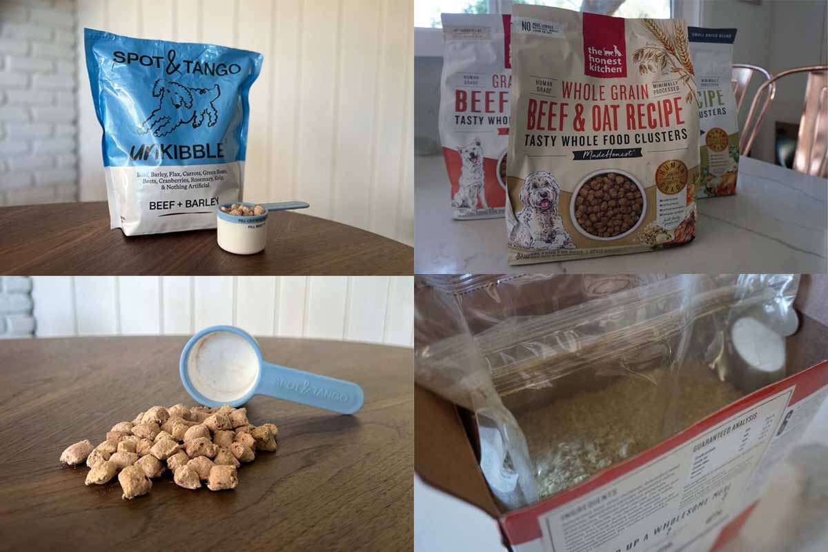 honest kitchen kibble