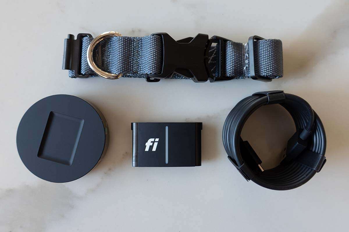 Fi Series 3 Dog Collar Pros And Cons Tried & Tested