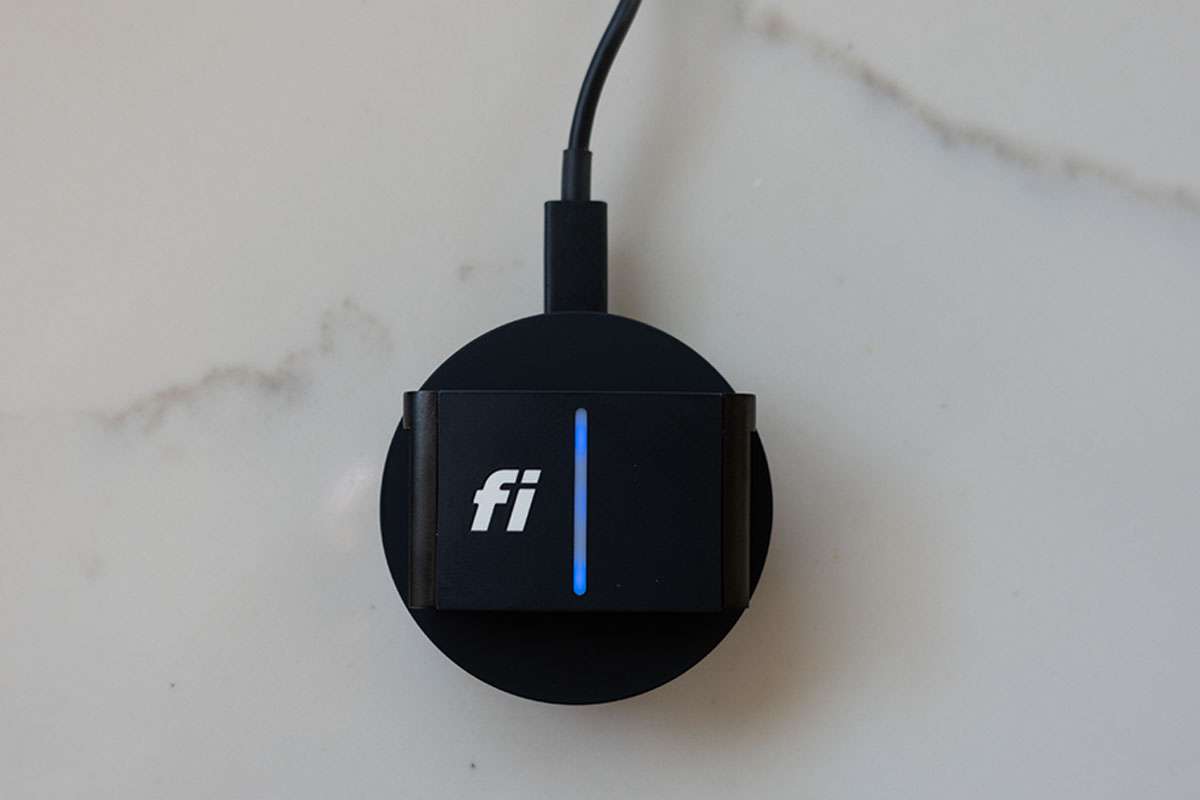 Fi Series 3 Dog Collar Pros And Cons Tried & Tested