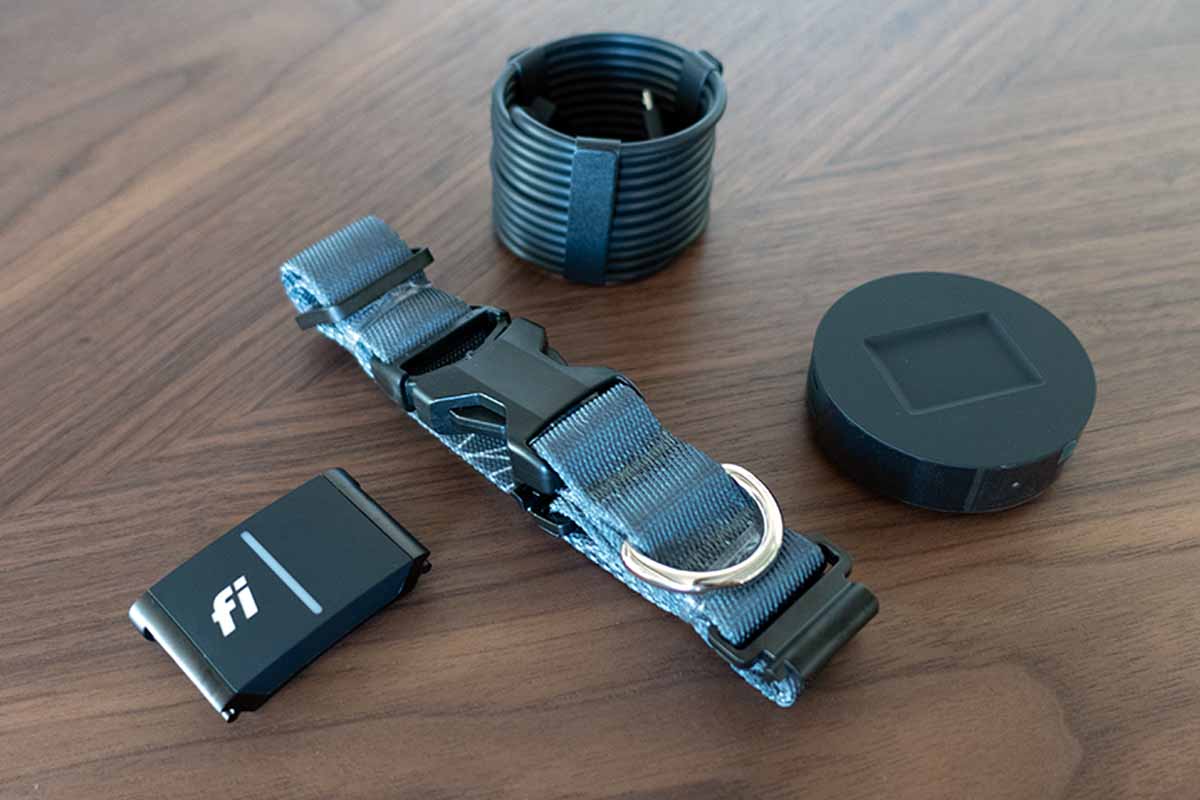 How Much Does Fi Series 3 Cost Per Month? Is Fi Collar Worth It?