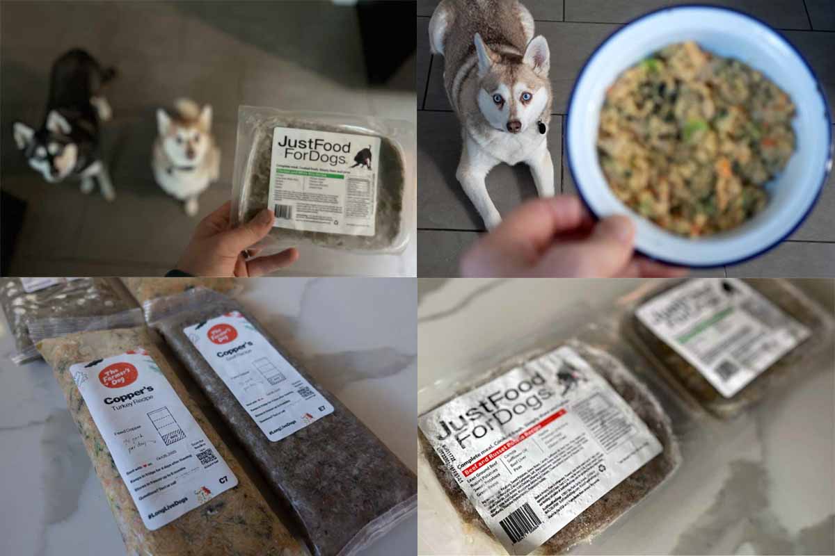 The Farmer's Dog Food