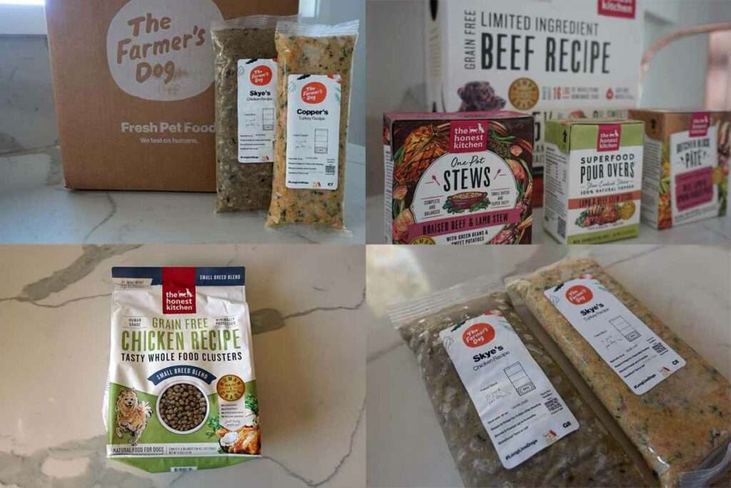 The Farmer's Dog Vs The Honest Kitchen: What's The Difference?