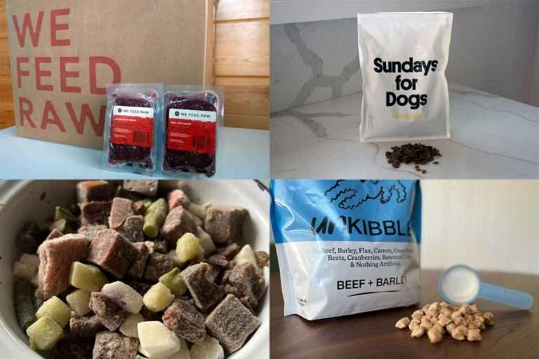 Dog Food Brands For Picky Eaters Best Dog Food For Picky Eaters: Tested By My Fussy Pets