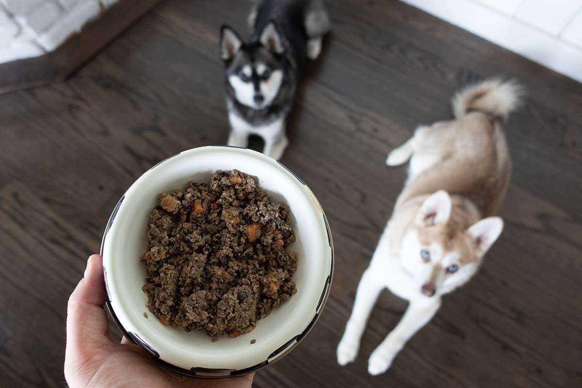 The Farmer's Dog Food