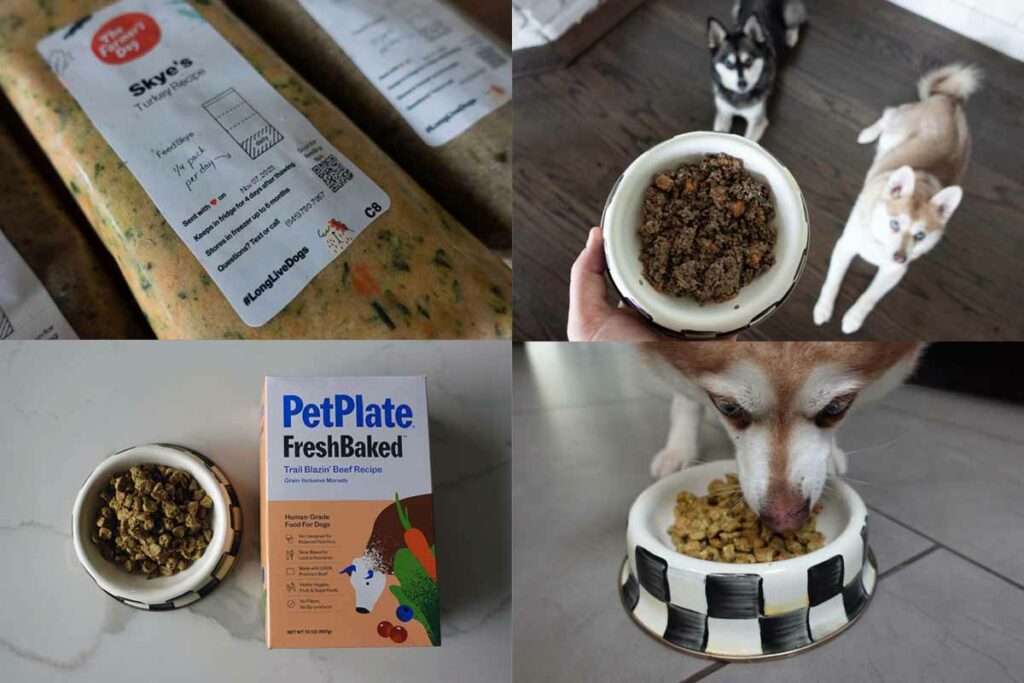 The Farmer's Dog Vs Pet Plate: What's The Difference?
