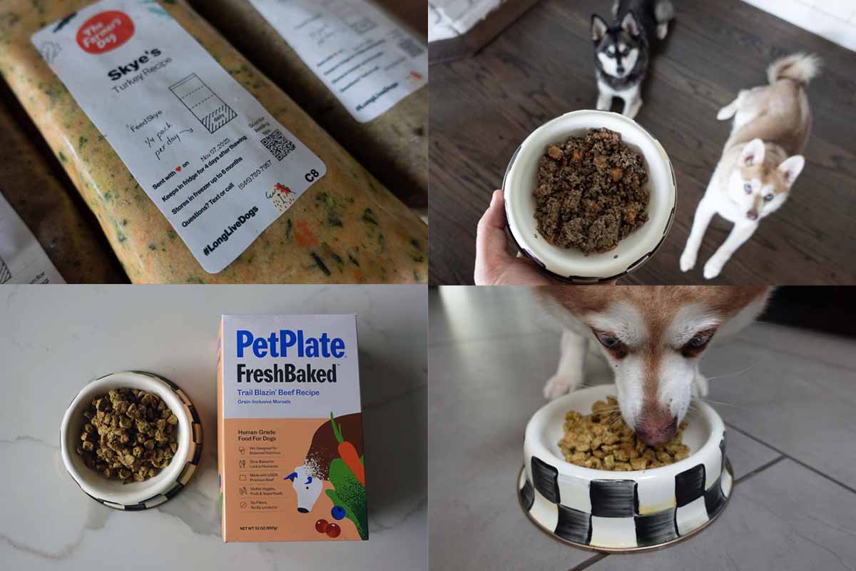 The Farmer's Dog Food