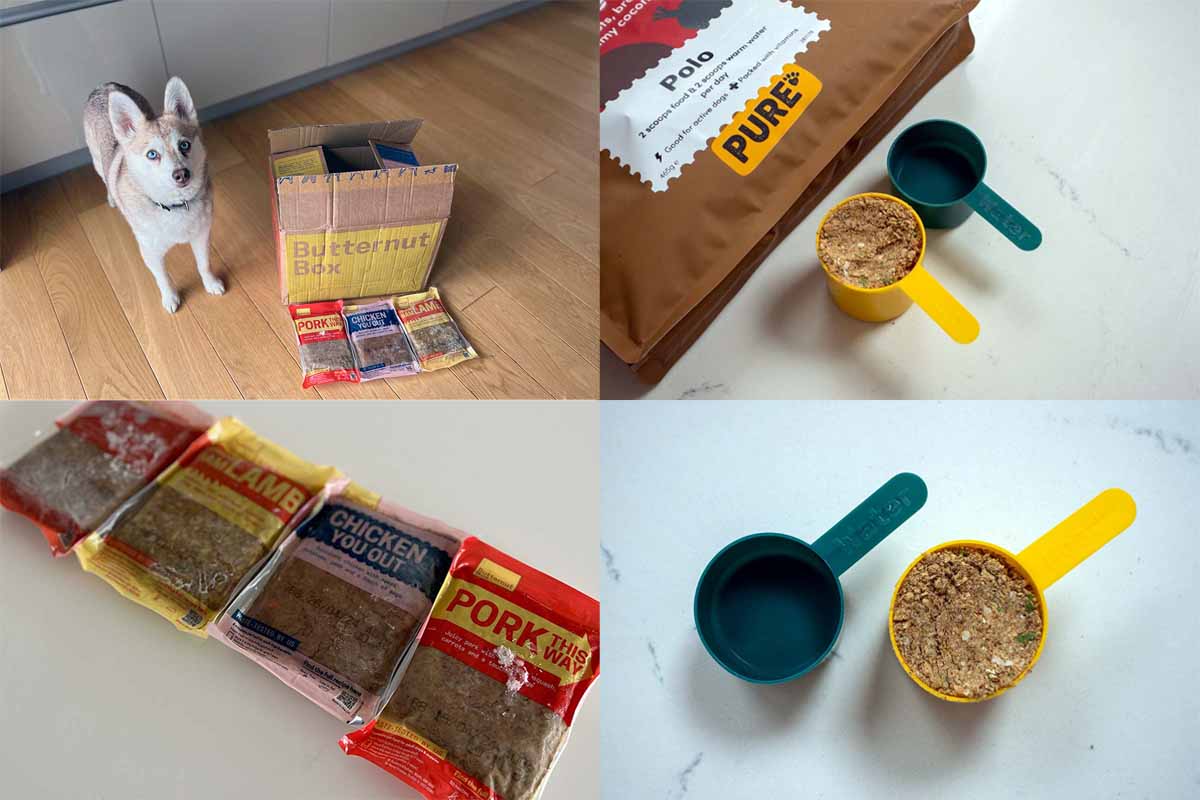 Butternut Box Vs Pure Pet Food What's The Difference?