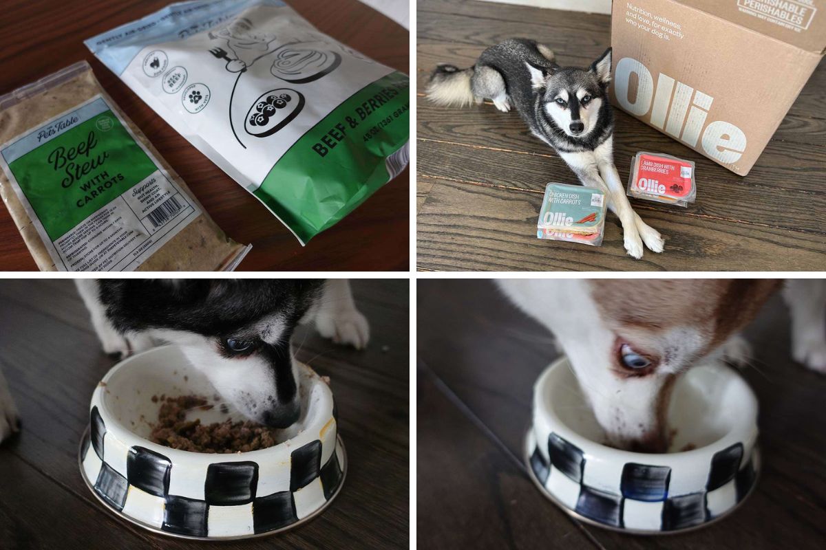 UnKibble scooper