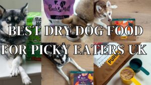 Best dry dog food for picky eaters UK