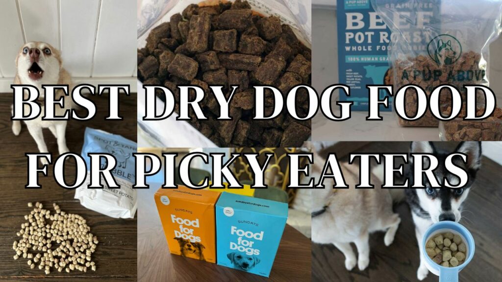 Best Dry Dog Food For Picky Eaters