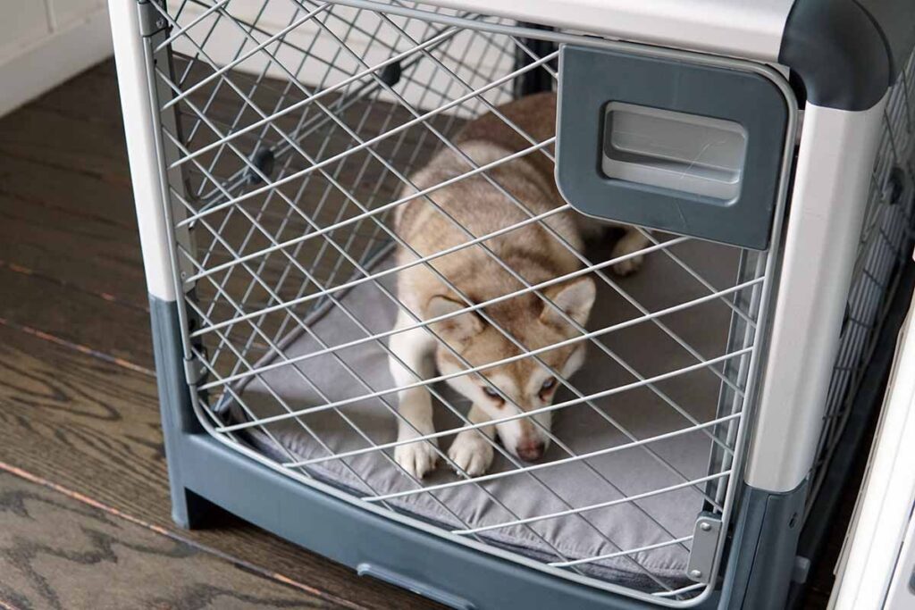 Revol Dog Crate Pros & Cons