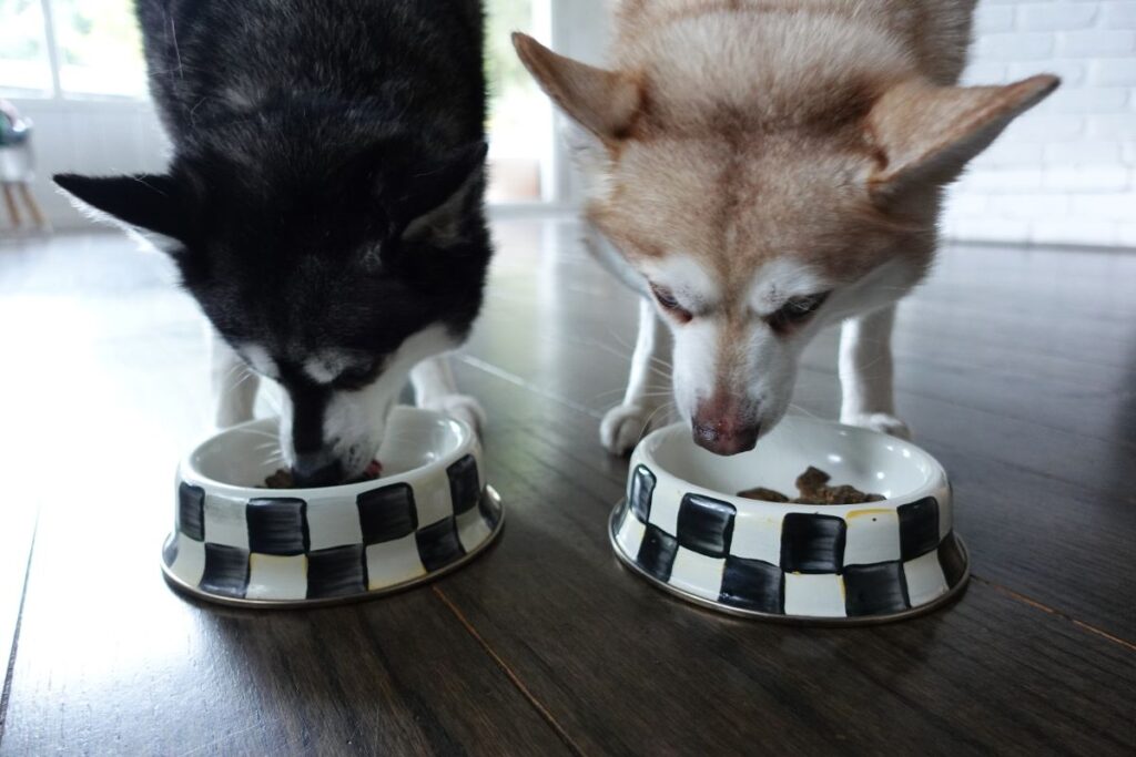 Copper and Skye tuck into Sundays