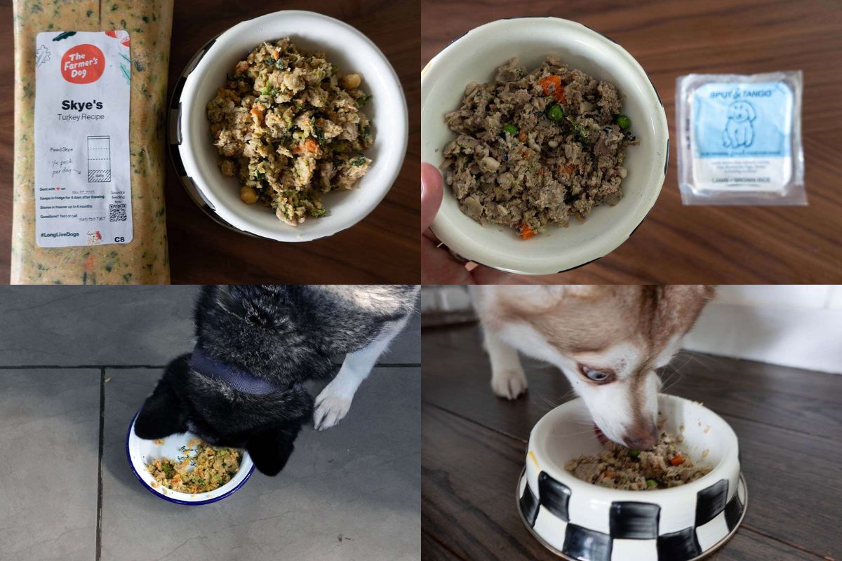 The Farmer's Dog Food