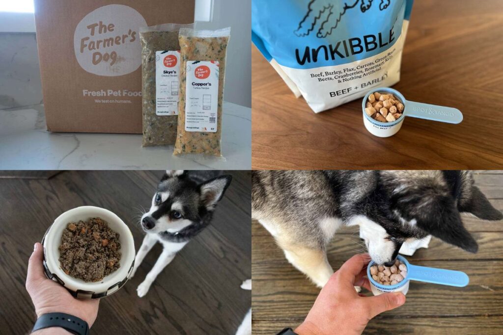 The Farmer's Dog Vs UnKibble Conclusion