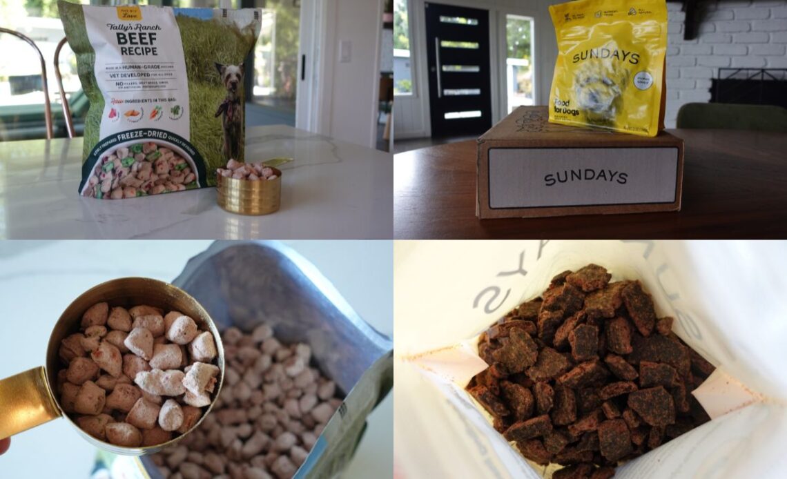 Tally's Ranch vs Sundays For Dogs