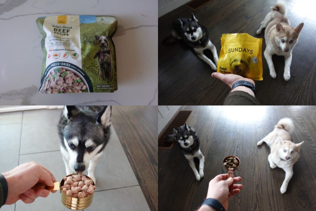Tally's Ranch vs Sundays For Dogs Our Recommendation