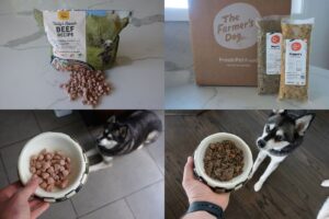 The Farmer’s Dog Vs Tally’s Ranch (2026): Which Is Better?