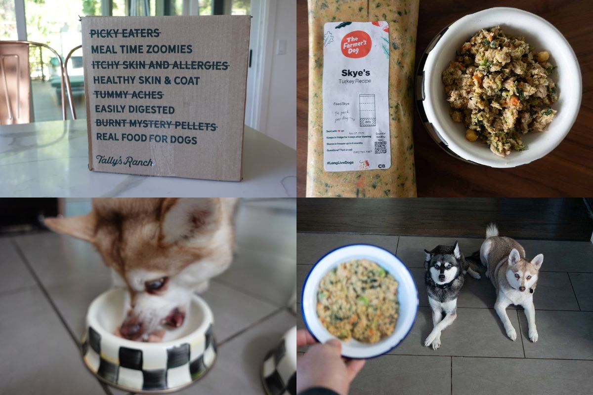 The Farmer's Dog Food