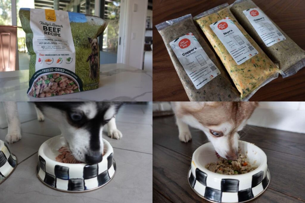 Tally's Ranch vs The Farmer's Dog Our Verdict