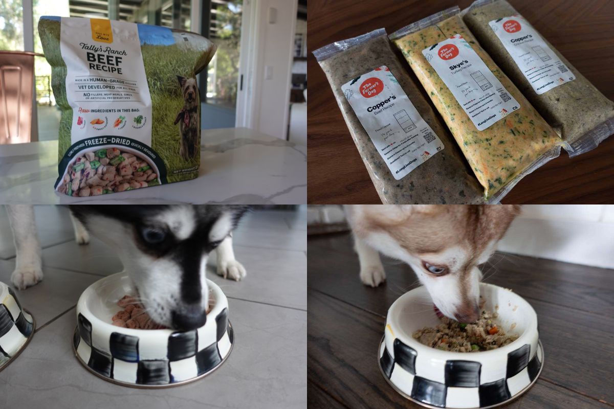 The Farmer's Dog Vs Tally's Ranch (2026): Which Is Better?