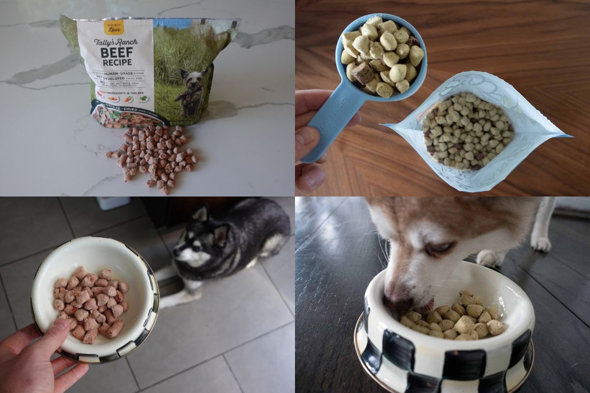 Tally's Ranch Vs UnKibble (2026): Which Dog Food Is Better?