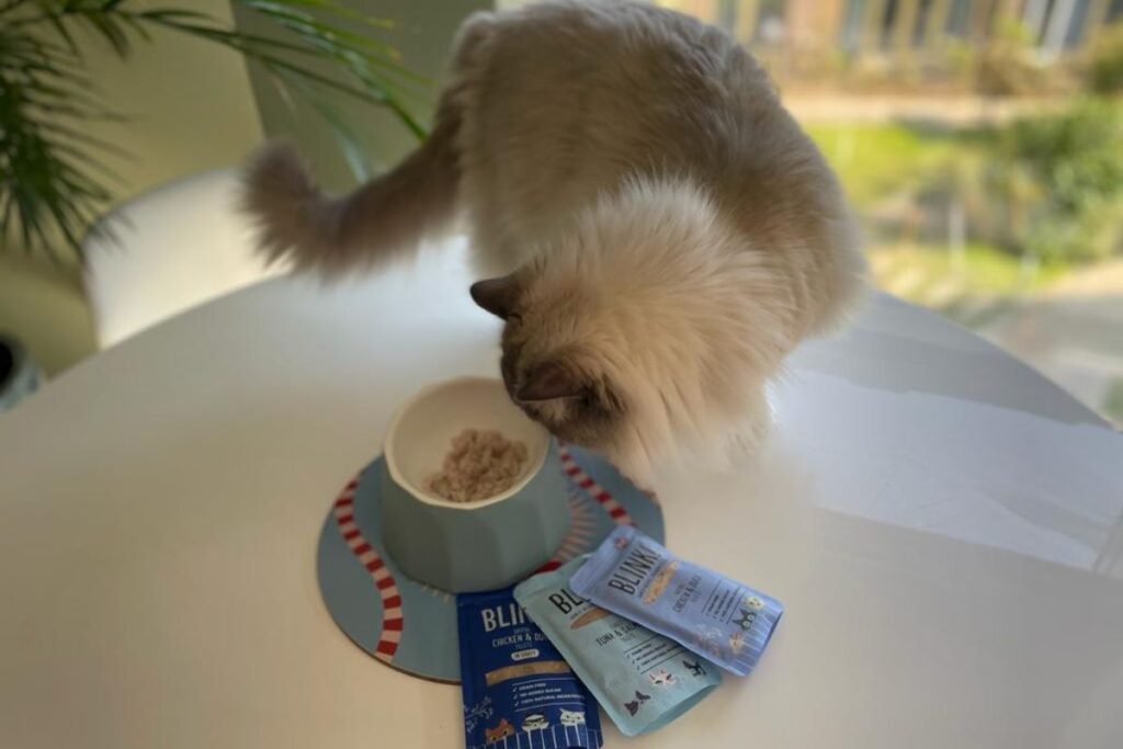 Blink! cat food range