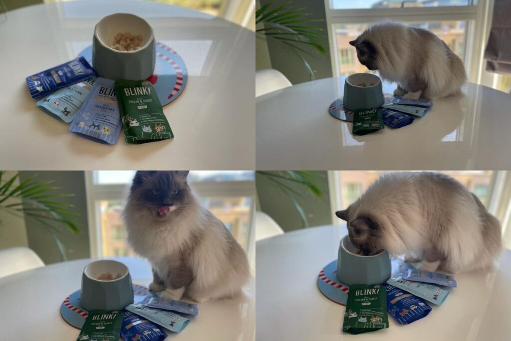 Blink! cat food pros and cons