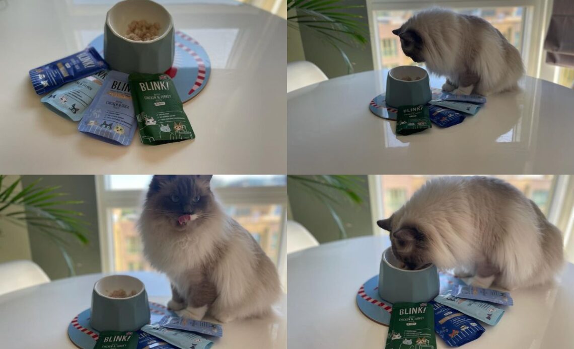 Blink! cat food pros and cons