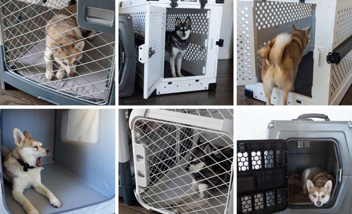Ultimate Dog Crate Comparison Best Dog Crates Tested